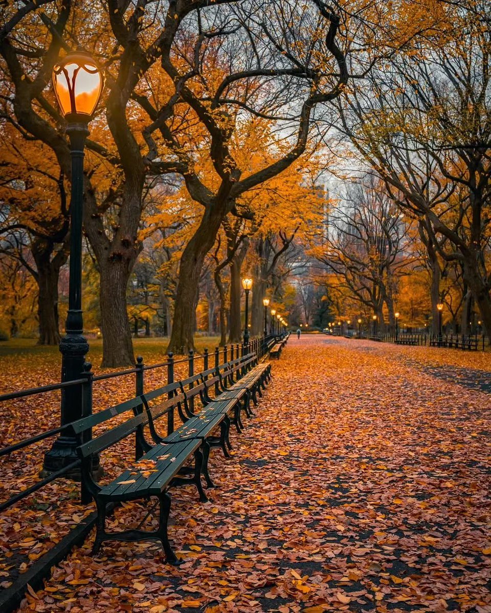 ____flowers__'s tweet photo. Fall in New York 🇺🇸 https://t.co/DfUPk8BCL7