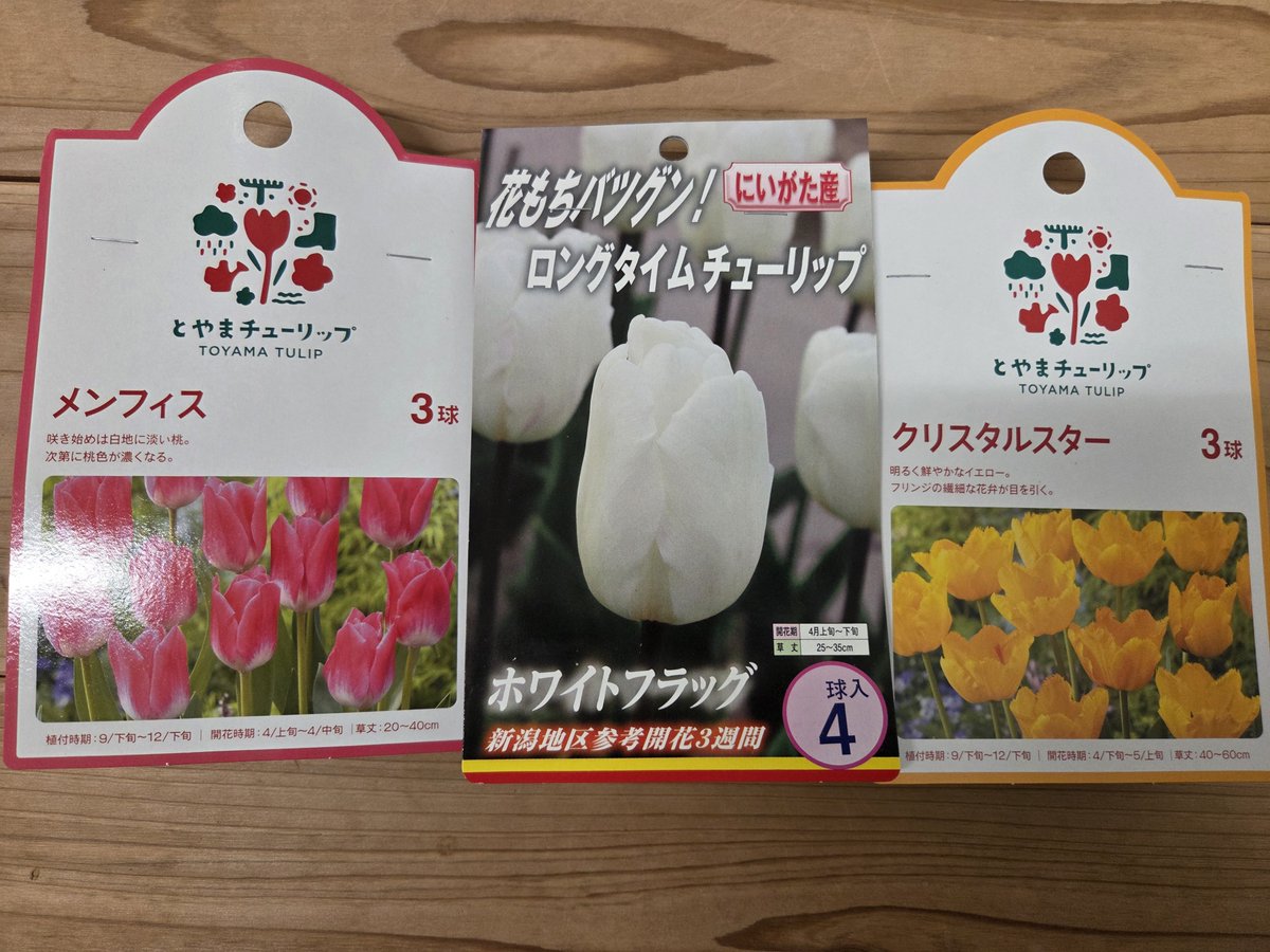 MaH85219's tweet photo. おうちの庭の花だんにチューリップを咲かせたいなと、ここ数年思ってて…今年はちゃんと球根を買えました⸜(  ॑꒳ ॑  )⸝🌷子どもたちと私とそれぞれ好きなのを選んだ🤭
もう少し寒くなったら植えるのだけど、それまでに土を整えたいと思う😌 https://t.co/qCEwtS9hl7