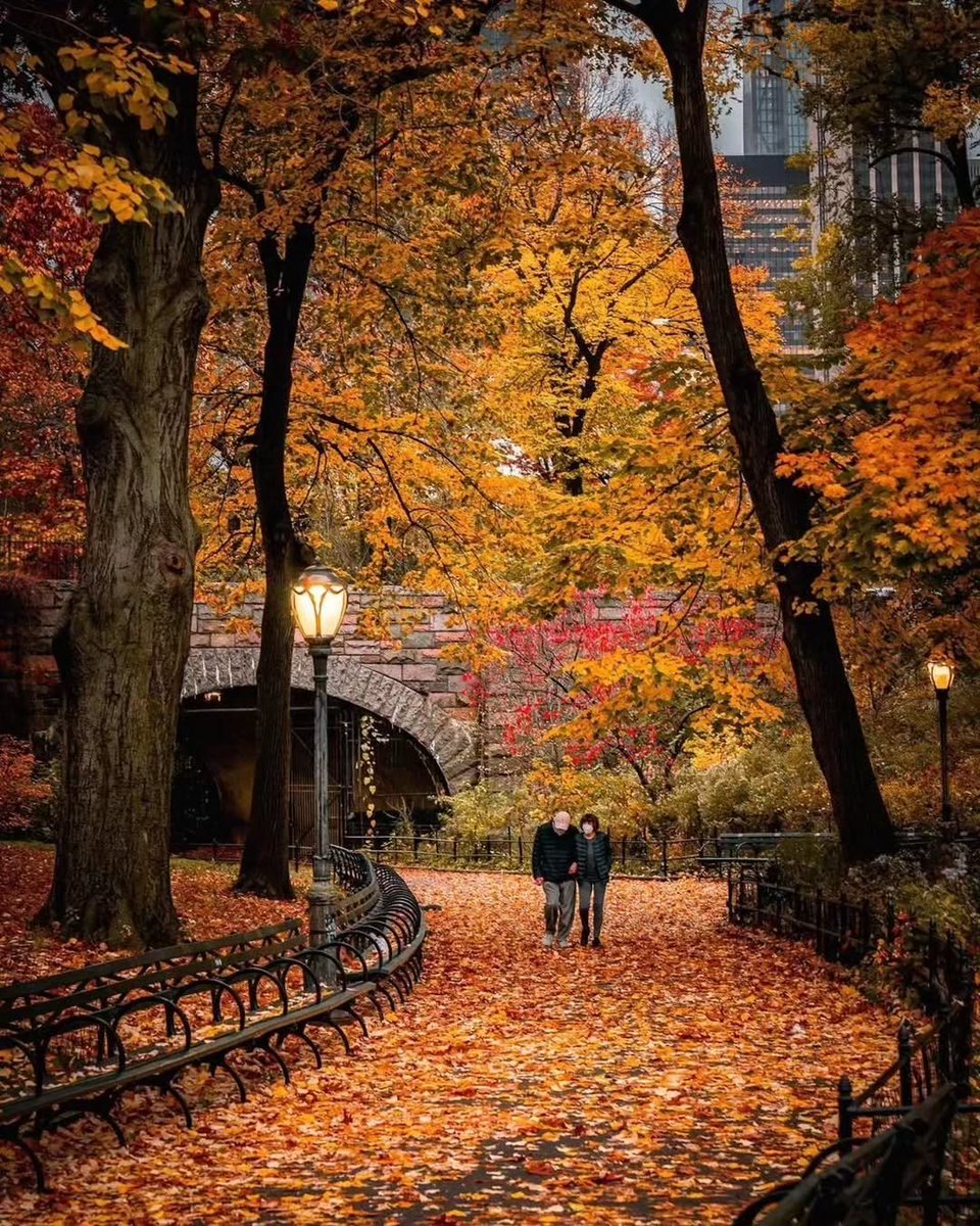 ____flowers__'s tweet photo. Fall in New York 🇺🇸 https://t.co/DfUPk8BCL7