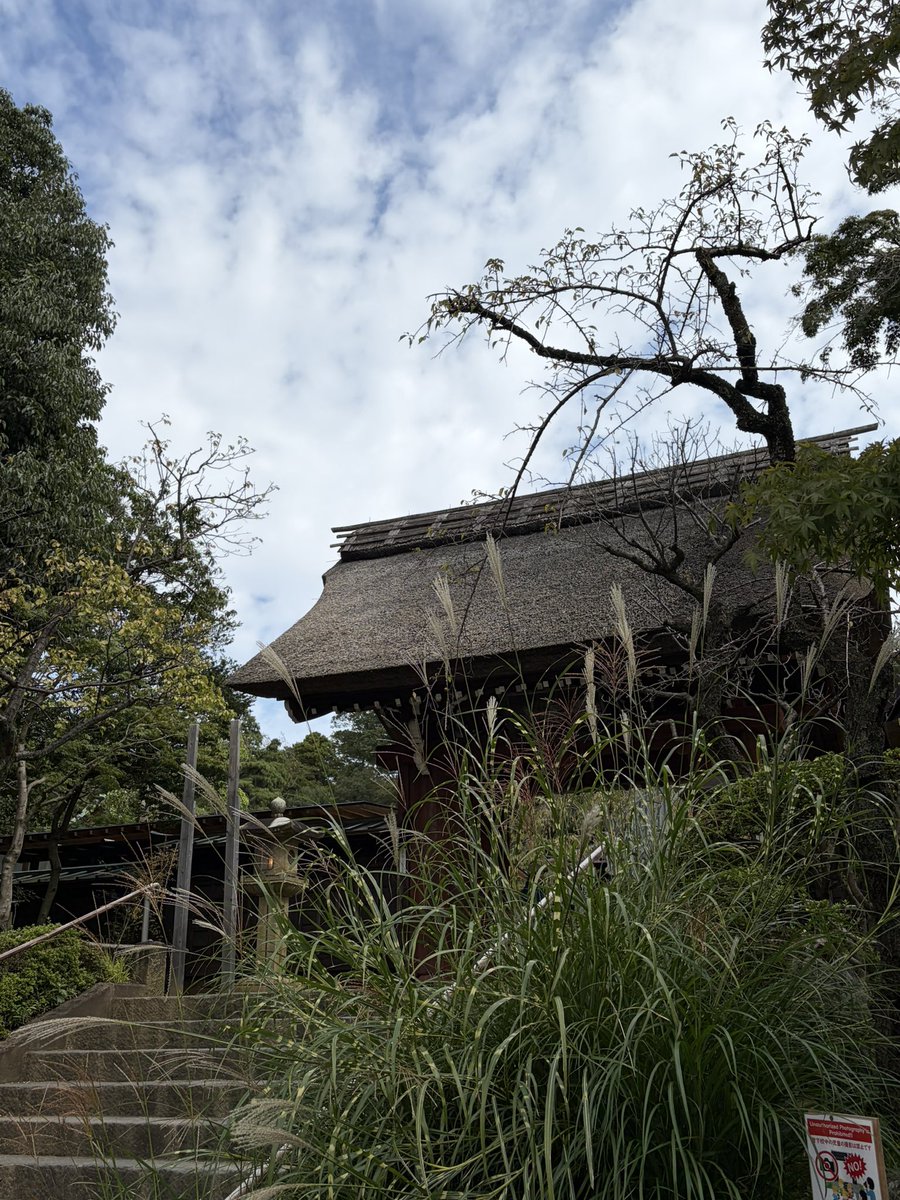 kinishimasen's tweet photo. 来年の干支の土鈴を買ってきました。　#深大寺 https://t.co/BOTHqPXlAt