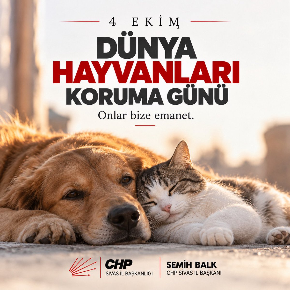 chpsivasil_'s tweet photo. 4 Ekim Dünya Hayvanları Koruma Günü

Sessiz dostlarımızın yaşam hakkına sahip çıkmak, onları korumak ve sevgiyle yaklaşmak hepimizin sorumluluğu.

Bir kap su, bir kap mama, biraz da sevgi… 🐾

#DünyaHayvanlarıKorumaGünü #4Ekim #HayvanHakları #CHP #Sivas https://t.co/NnTYXEceUm