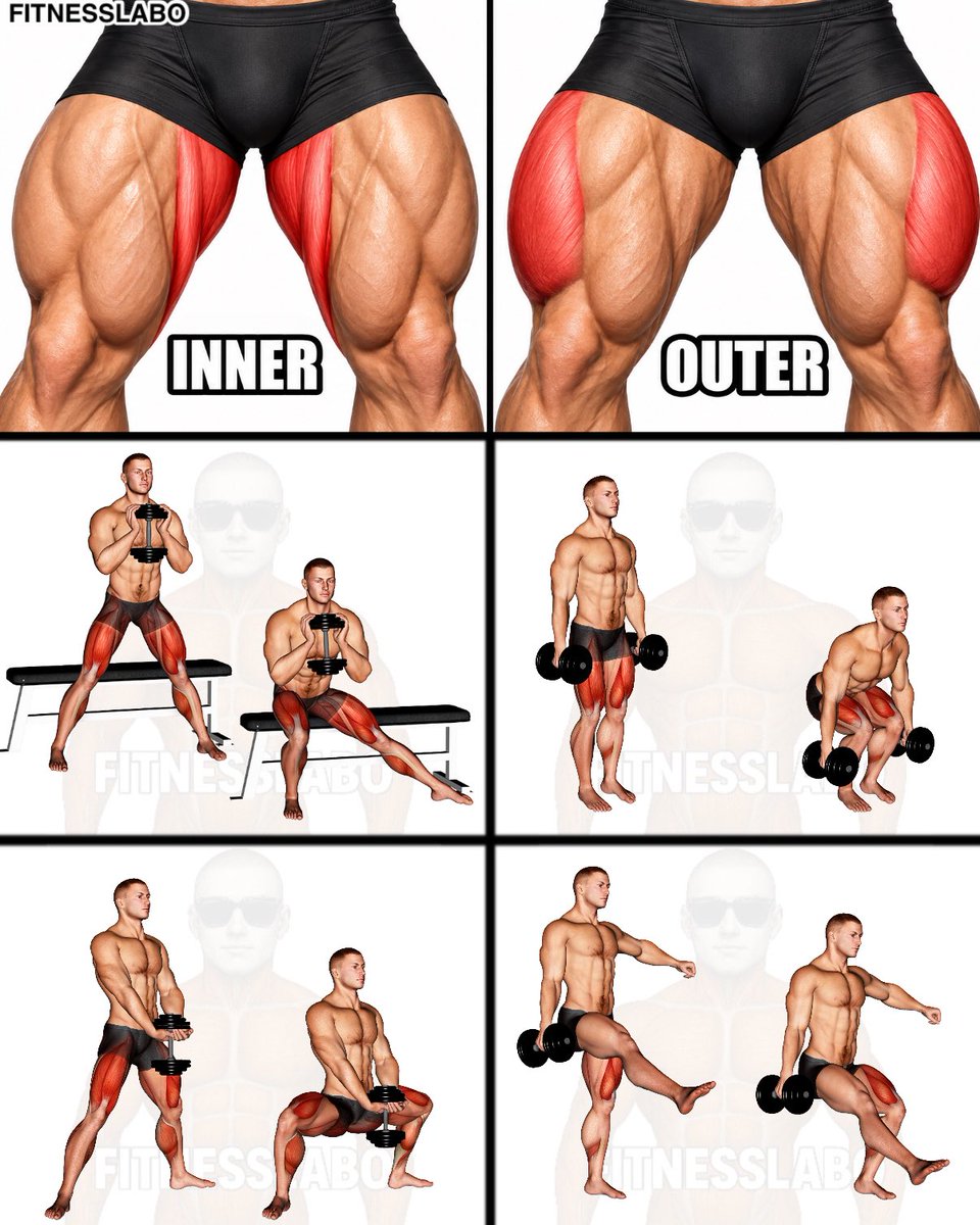 fitnesslaboX's tweet photo. ✅ Build Bigger Inner & Outer Quads With These 4 Moves
① Dumbbell Lateral Bench Squat
② Dumbbell Narrow-Stance Squat
③ Dumbbell Sumo Squat
④ Dumbbell Single-Leg Squat
3 sets × 10–12 reps
#LegDay #Quads #LegWorkout #MuscleGrowth #FITNESSLABO https://t.co/mEVj8YuQKW