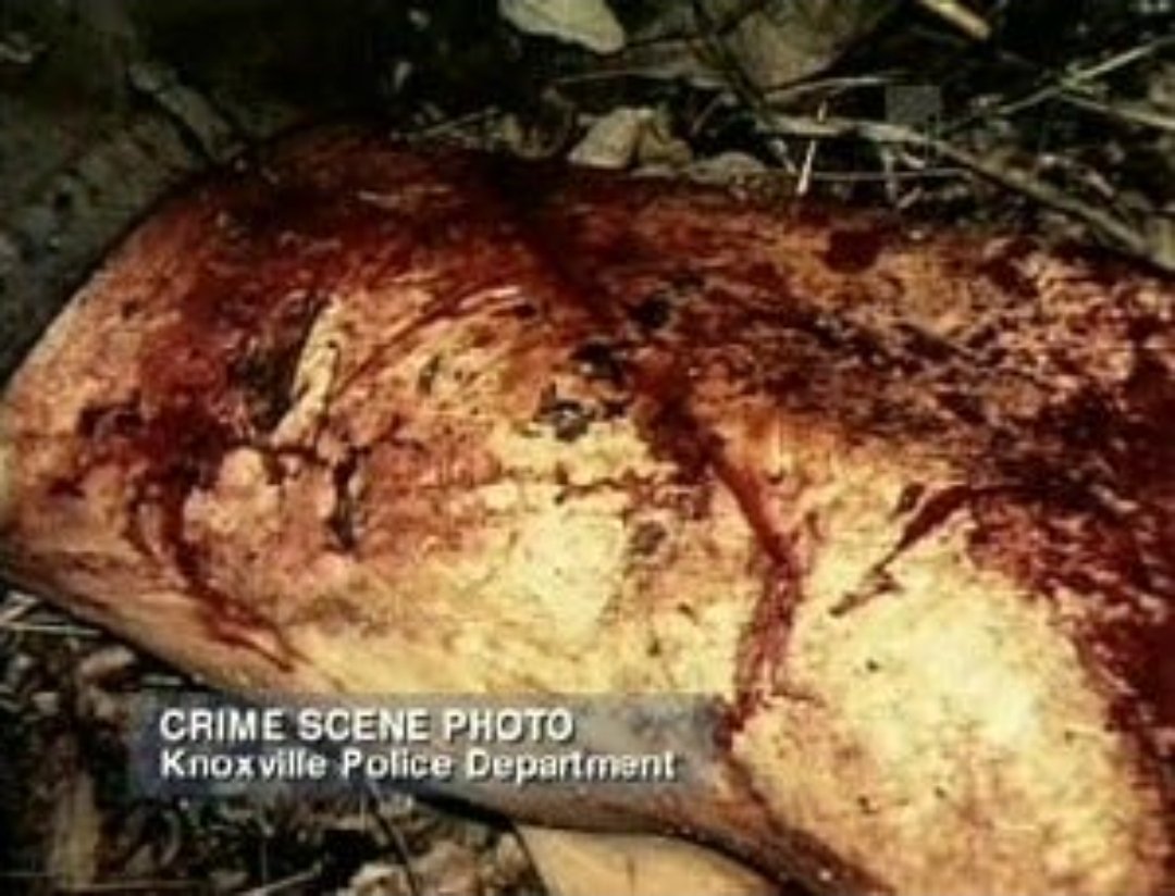 maryjanechic's tweet photo. @FennarioStar @melissathidema1 @ABC She brutally tortured and murdered a woman she was extremely jealous of. She is THE wicked witch. Wanna see what she did? Shut your stupid ass up, trashbag. https://t.co/W9VGJa3F7V