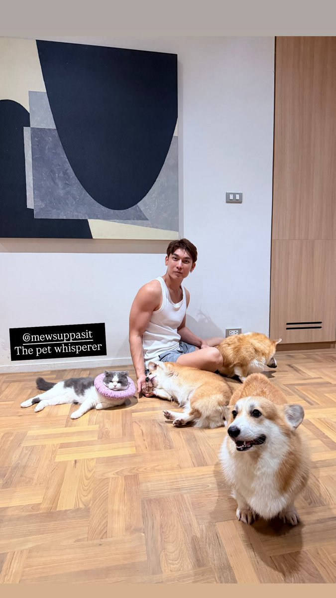 __BeWithU__'s tweet photo. มิวถูกล้อม 🐶🐱

@MSuppasit #MewSuppasit #มิวศุภศิษฏ์ 
@octotul #Tul_Pakorn #ตุลย์ภากร 
#MewTul #มิวตุลย์ https://t.co/UaUiBeyob0