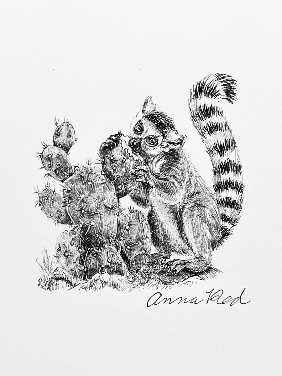 ANNAREDart's tweet photo. Day4:CUCTUS
It’s delicious!
サボテンは、おいしいよ😋
Artist:@annaredart
@inktober
#drawing
#inktober2026DAY4
#inktober2026CUCTUS
#inktober2026
#インクトーバー2026 https://t.co/mc6SM7XA3a