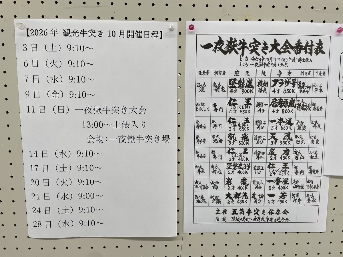 test_desu_kkk's tweet photo. 牛突きちょっと見てみたかった https://t.co/4f8td7mio9