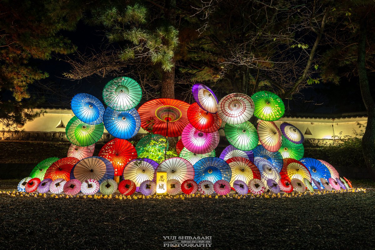 Yuji_48's tweet photo. 行田市忍城、一夜限りの和傘の宴。 https://t.co/FeuYMnKzKp