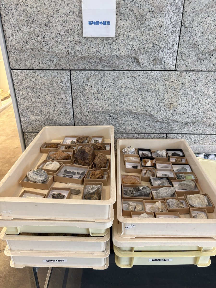 bonjirisaan's tweet photo. 栃木の帰りに、ずっと気になってた笠間にある石の百年館へ行ってきました
稲田石の建物や展示も素敵でしたし、茨城の鉱物の豊富さに驚きました
プチプラな鉱物標本もたくさんありましたよ〜(もちろんカゴに入れました😆)
現地で撮った写真をいくつかぶら下げます↓ https://t.co/PpIYE49VxH