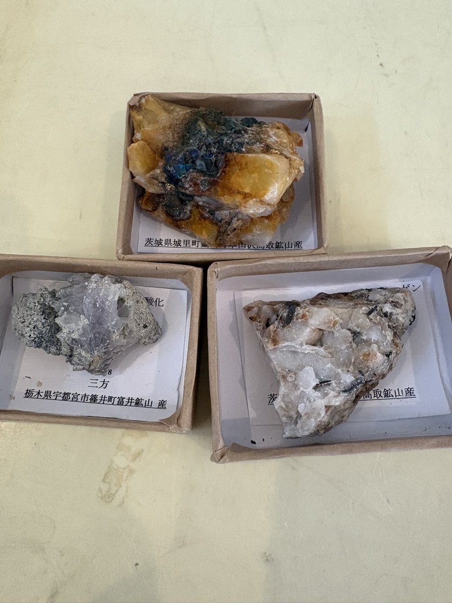 bonjirisaan's tweet photo. 栃木の帰りに、ずっと気になってた笠間にある石の百年館へ行ってきました
稲田石の建物や展示も素敵でしたし、茨城の鉱物の豊富さに驚きました
プチプラな鉱物標本もたくさんありましたよ〜(もちろんカゴに入れました😆)
現地で撮った写真をいくつかぶら下げます↓ https://t.co/PpIYE49VxH