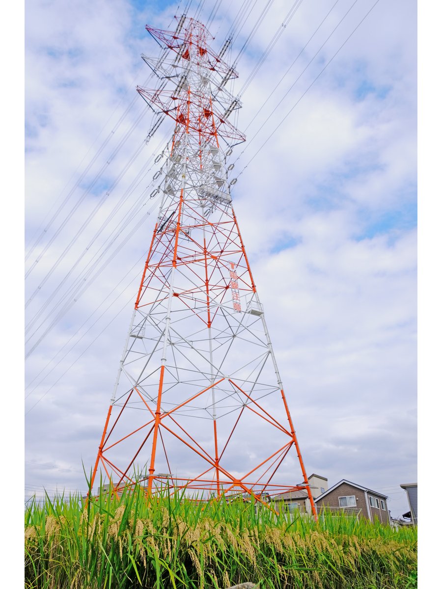 hondaso's tweet photo. 大丸用水東新田堀の水を受ける、送電線下の水田。 用水路の水が止められて水田の土も乾き、間も無く収穫のとき。 
（東京都稲城市）  

#東京の水田 https://t.co/dNR4ycV3H3