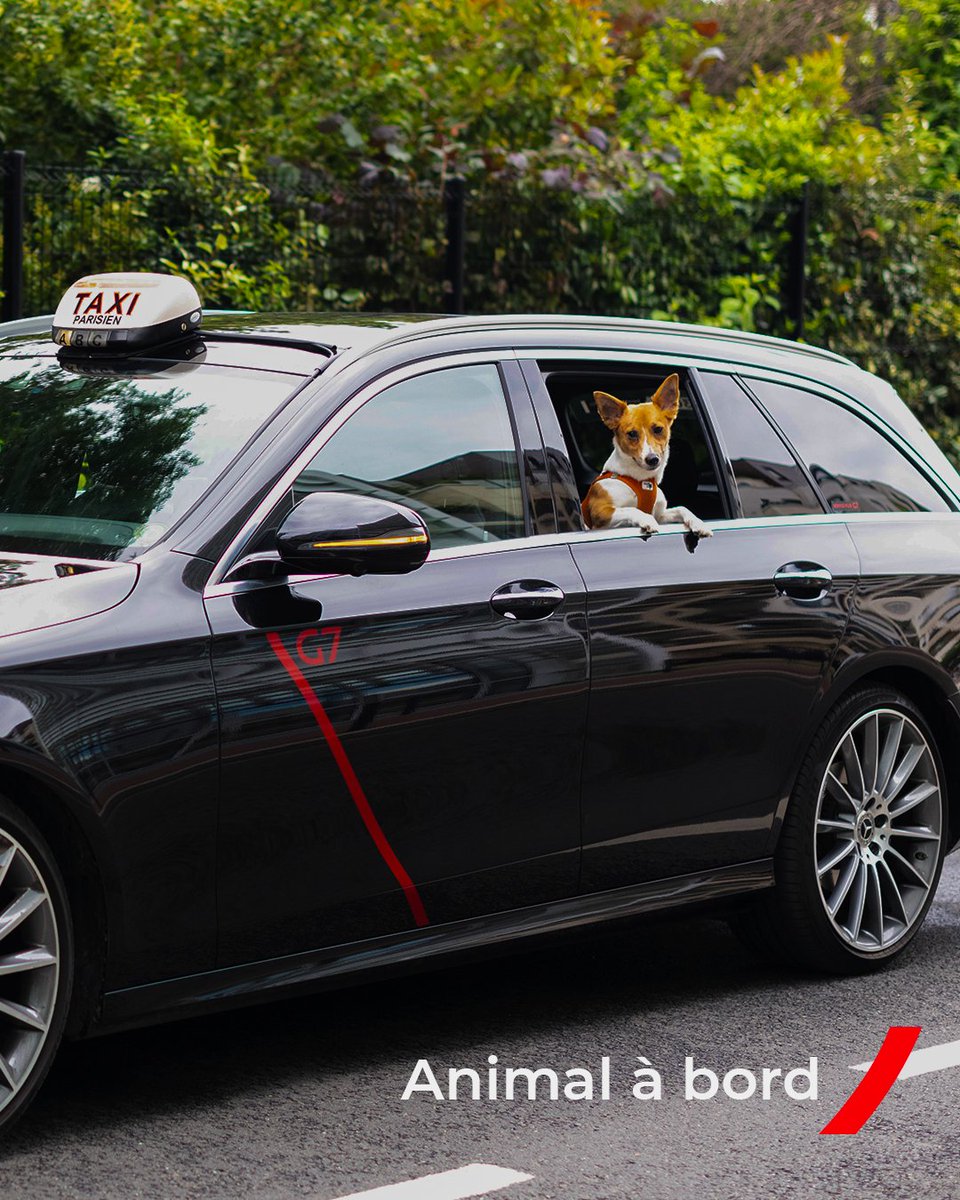 TAXISG7's tweet photo. En cette journée mondiale des animaux, pensez à l’option gratuite Animal de compagnie à bord, disponible depuis l’application G7.

Pour vos rendez-vous, vos promenades ou vos escapades, votre compagnon peut lui aussi faire partie du voyage. 🐶

#G7Taxis #G7Paris #Paris #Excellence #AnimalABord