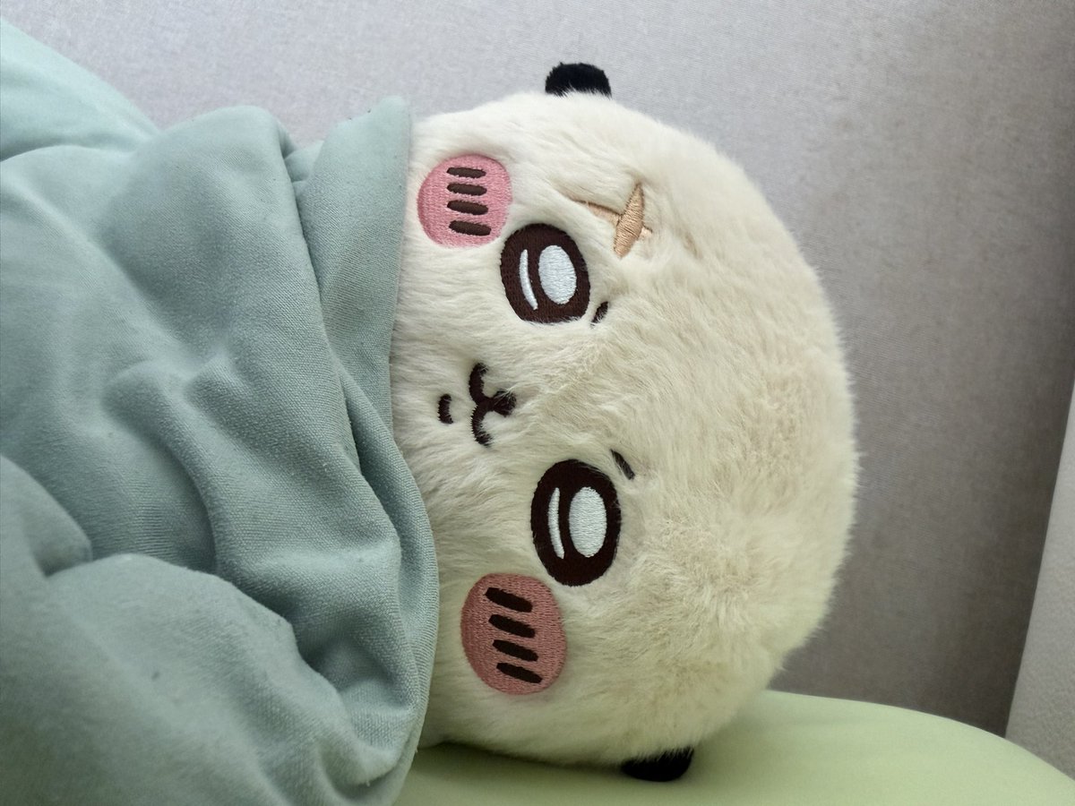Rakkol0ve's tweet photo. 좋아하는 해달 있나? https://t.co/b9I1xrFDtb