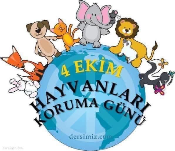 silivrimetin's tweet photo. Canlı hayvana işkence, eziyet edene lanet olsun...Hz.Muhammed(SAV) #HayvanHakları https://t.co/vqgNdMWAtY