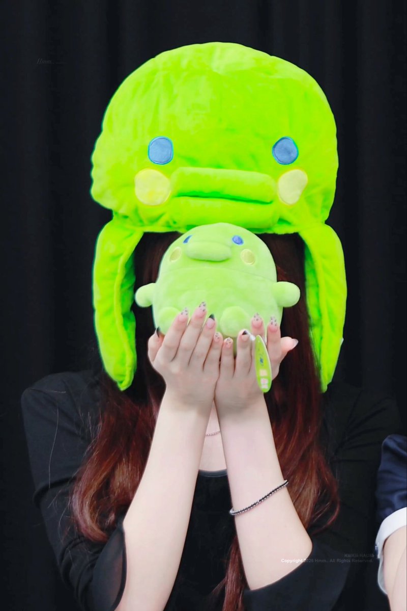 A person wearing a large green plush duck hat holds a matching small green plush duck in front of their face, with text 'Copyright 2026 Hmm.. All Rights Reserved' visible.