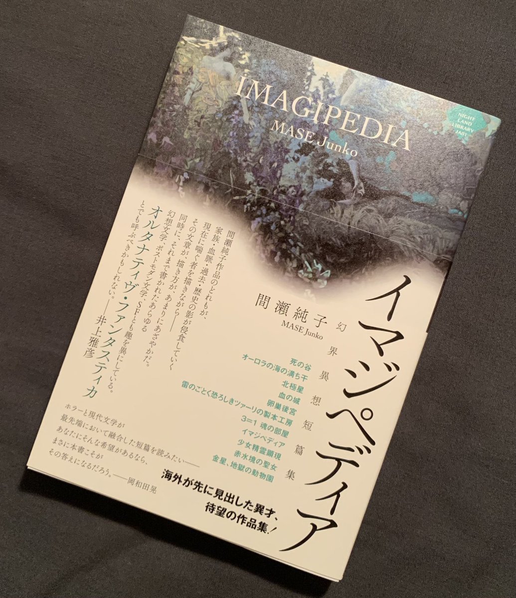 3_anyanekoneko's tweet photo. 今まで「異形コレクション」などのアンソロジーでしか拝読していなかったので楽しみにしてました…
「間瀬純子」さんの「イマジペディア〜幻界異想短篇集」をお迎えしました📚
#アトリエサード  #今日買った本  #今日買った・届いた本を紹介する https://t.co/QbnjGTLxiv