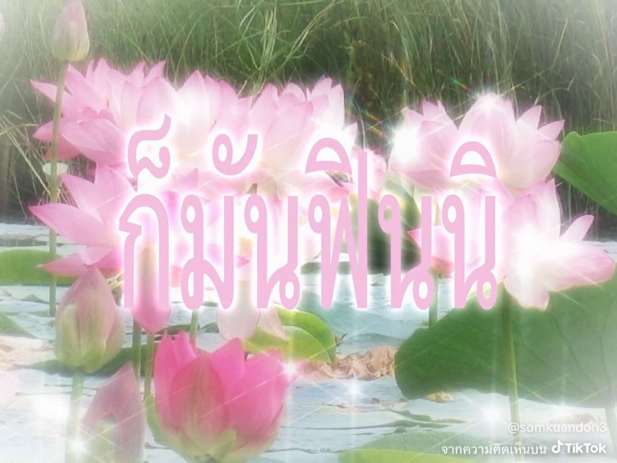 rukaeyyy's tweet photo. @wishmycat https://t.co/nLBSSmxh9o