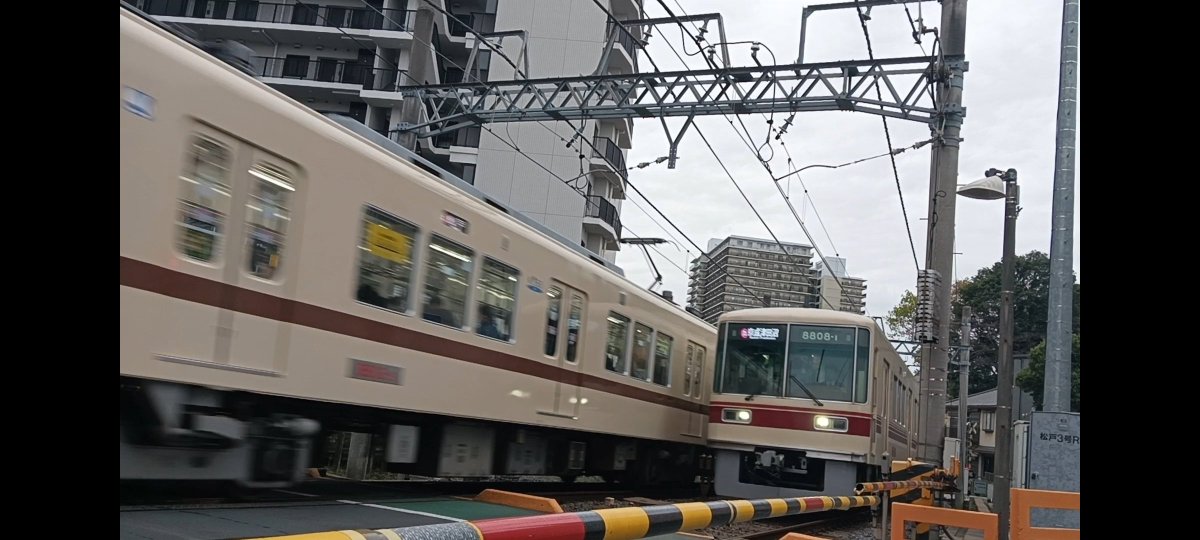 Mi_1266's tweet photo. 今でも新京成が京成に変わったのが受け入れられない…
#鉄道 #新京成 #京成松戸線 https://t.co/xtSyih9j8M