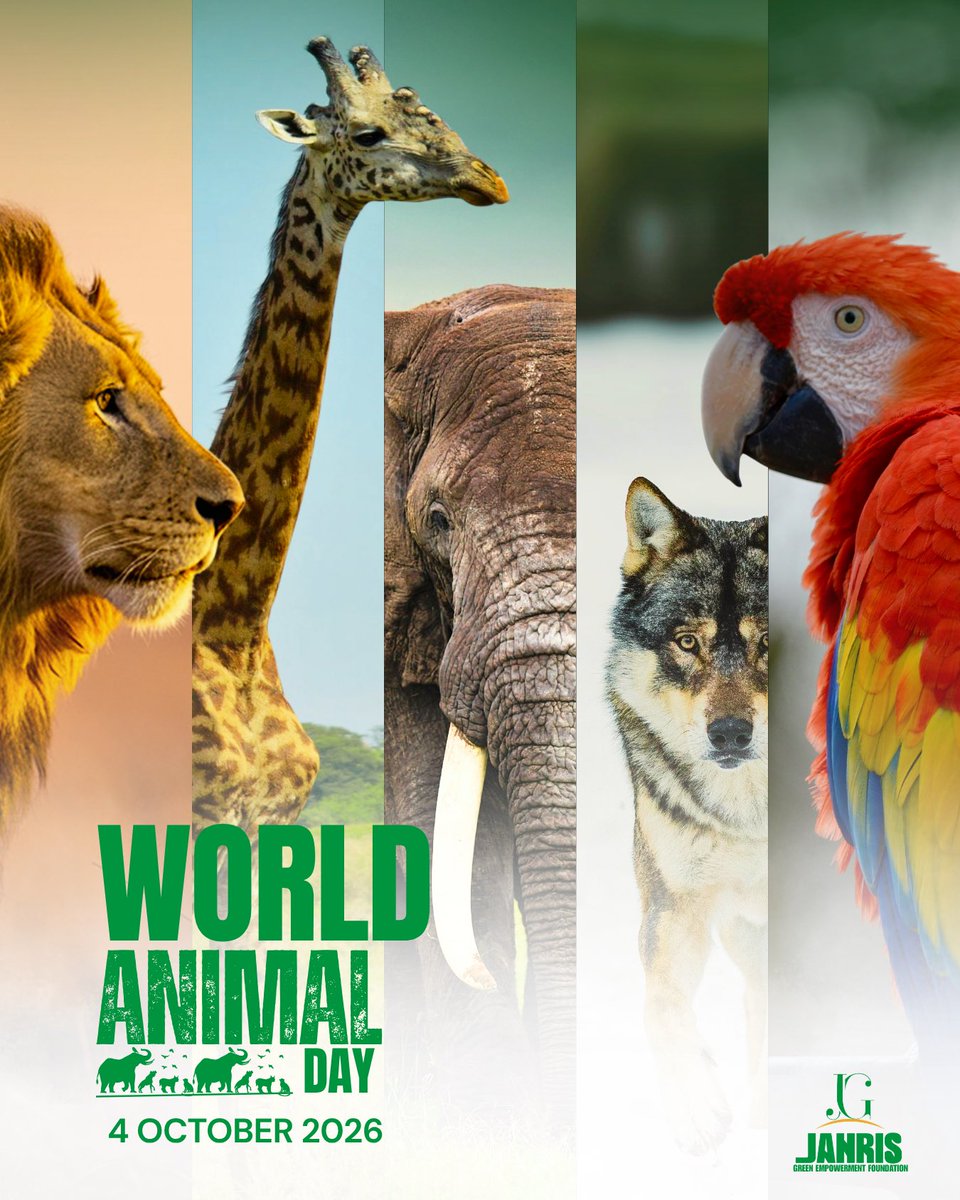 JahrisF's tweet photo. Happy World Animal Day. 🐘🌍
We share this planet with millions of species, yet we keep destroying the places they call home.

Their home is our home. Their future is tied to ours.
Protect wildlife. 
Protect habitats. 

Protect the Earth we all share. 🌍

#WorldAnimalDay #JGEF https://t.co/7G07BPQ9Qg