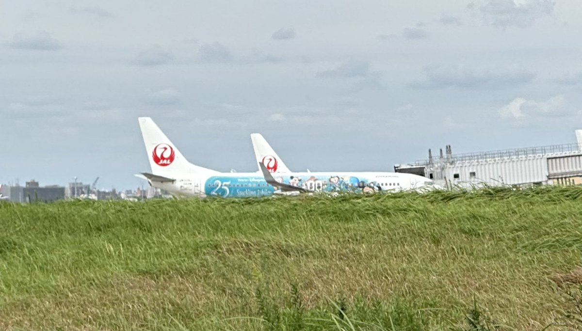 mayusupidog's tweet photo. モノレールの新整備場駅を出たところからジュビリー色の飛行機をパチリ📱ºoº🩵✈️
1枚目は柵を避けて撮ってますが、目の前は飛行機の通路でかなりの迫力😳 https://t.co/WIz65RhTWS