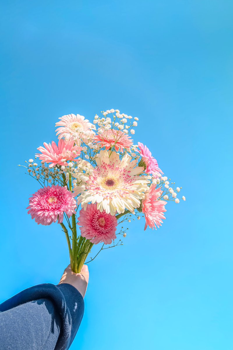 Noah_photobook's tweet photo. 青空と花束。 https://t.co/ICA7SQn7dF