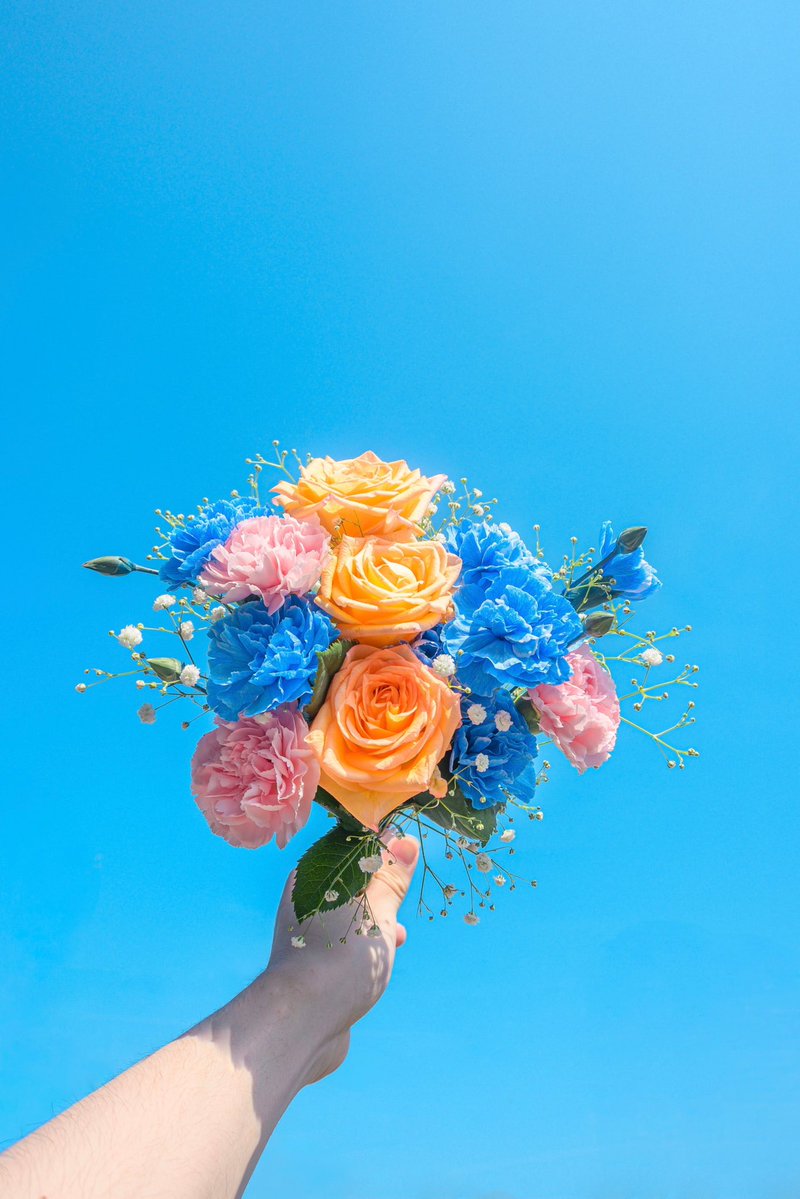 Noah_photobook's tweet photo. 青空と花束。 https://t.co/ICA7SQn7dF