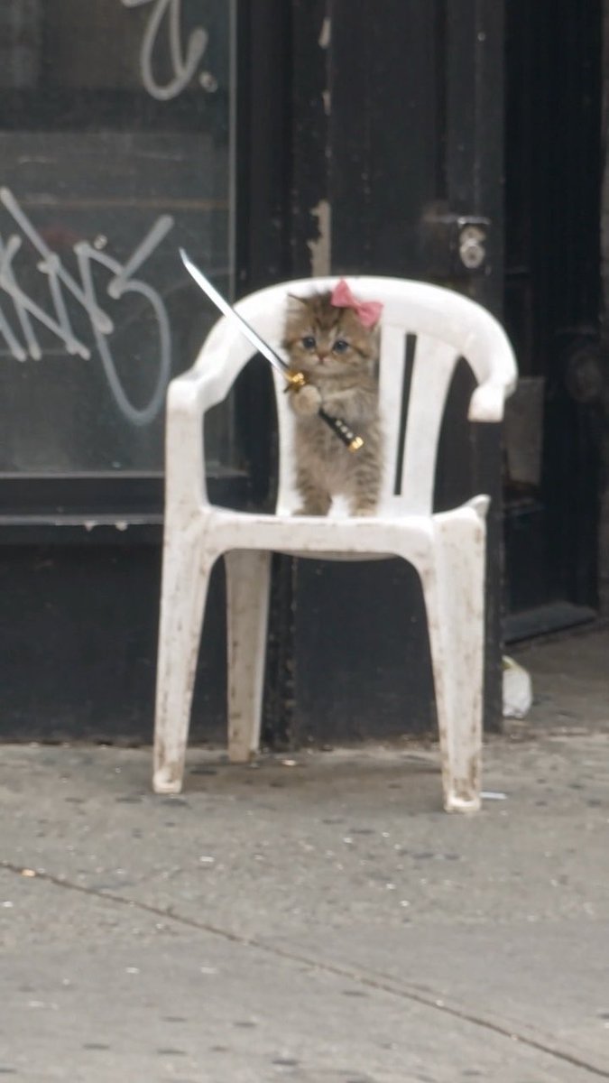 A tiny kitten with a pink bow sits atop a white plastic chair on a city sidewalk, wielding a toy sword like a miniature samurai warrior in a humorous scene often associated with the "catana" (cat + katana) meme. Graffiti reading "KINK" is visible on the dark storefront behind the feline swordsman.
