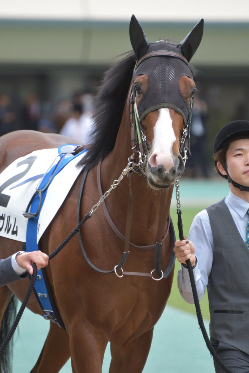 Famous_Silk's tweet photo. リントヴルム / 2歳新馬
インで動くに動けない形となり、直線を迎えた時点で万事休す。最後はこの馬なりに脚を使っているものの、超スローの展開では5着が精一杯。折り合いやスタミナ面に不安がありましたが、今日の内容なら1800くらいまでは��なせる印象で、選択肢が広がった点は大きな収穫。 https://t.co/4PqHQZcIPZ