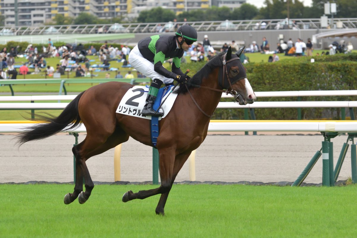 Famous_Silk's tweet photo. リントヴルム / 2歳新馬
インで動くに動けない形となり、直線を迎えた時点で万事休す。最後はこの馬なりに脚を使っているものの、超スローの展開では5着が精一杯。折り合いやスタミナ面に不安がありましたが、今日の内容なら1800くらいまでは��なせる印象で、選択肢が広がった点は大きな収穫。 https://t.co/4PqHQZcIPZ