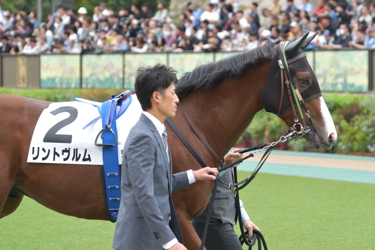 Famous_Silk's tweet photo. リントヴルム / 2歳新馬
インで動くに動けない形となり、直線を迎えた時点で万事休す。最後はこの馬なりに脚を使っているものの、超スローの展開では5着が精一杯。折り合いやスタミナ面に不安がありましたが、今日の内容なら1800くらいまでは��なせる印象で、選択肢が広がった点は大きな収穫。 https://t.co/4PqHQZcIPZ