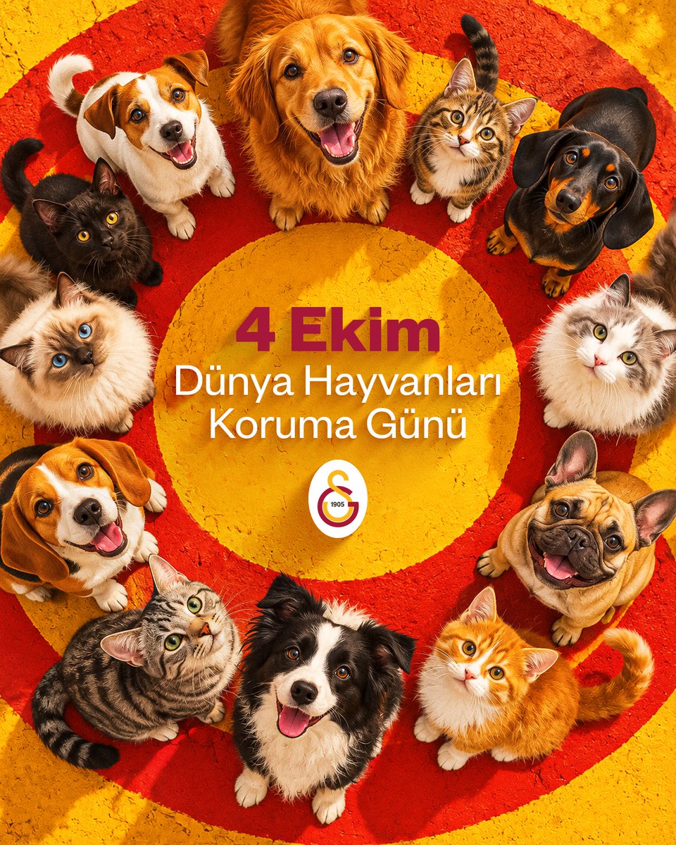 GalatasaraySK's tweet photo. Dünyayı paylaştığımız canlıların yaşam haklarını korumak bir insanlık görevidir. #4EkimHayvanlarıKorumaGünü kutlu olsun. Onları bir gün değil her gün önemsemek dileğiyle. https://t.co/pKGNHcEP24