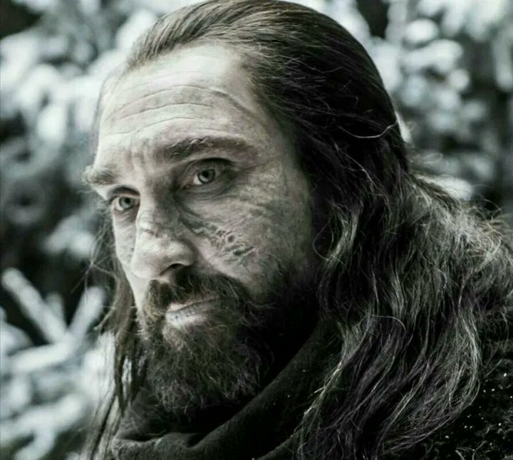empire15478's tweet photo. گرگ تنها https://t.co/gyLQaXBsM7