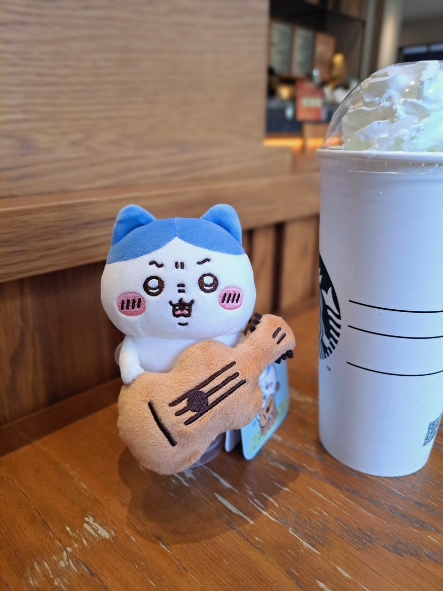 1970520's tweet photo. 歌を聴け！🐱🎸

新到手的8️⃣，真可愛🤗💕
一起帶出門閒逛。 https://t.co/7XFTT6lf1T