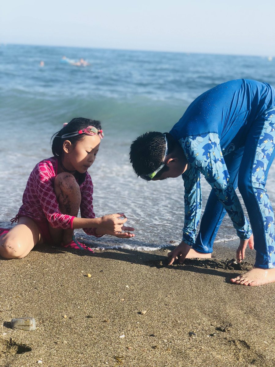 Laverloev's tweet photo. Hoy jugamos a buscar tesoros! Mi hijo encontró una concha bonita en la playa, la guardaremos en nuestro cajón de recuerdos juntos! （中文大意：今天我们玩寻宝游戏！我儿子在海滩上捡到了一块漂亮的贝壳，我们会一起把它收进记忆抽屉里！）， https://t.co/tbnrBq2XPv