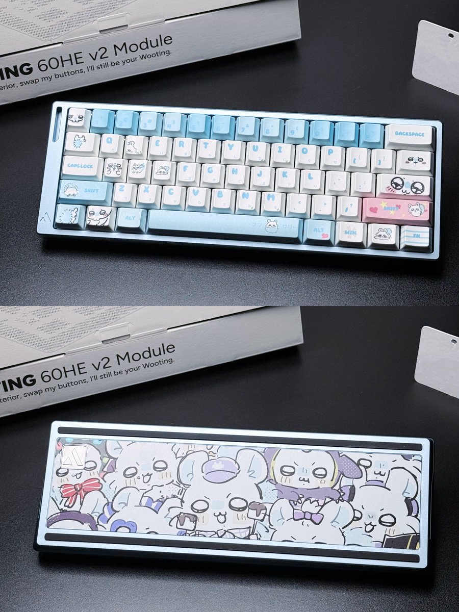 NvsionGear's tweet photo. 🐭🐭 https://t.co/wR6E1KYVVV