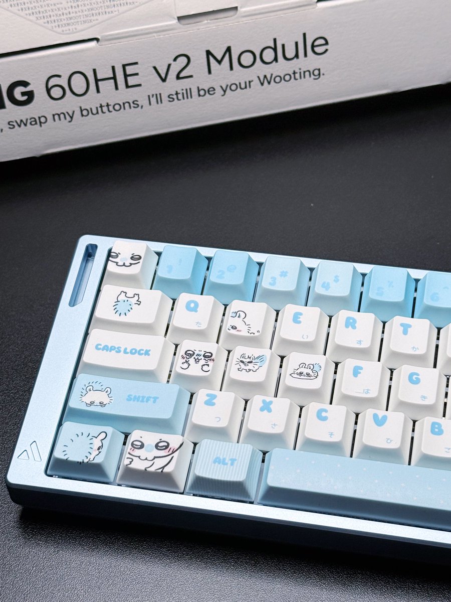 NvsionGear's tweet photo. 🐭🐭 https://t.co/wR6E1KYVVV