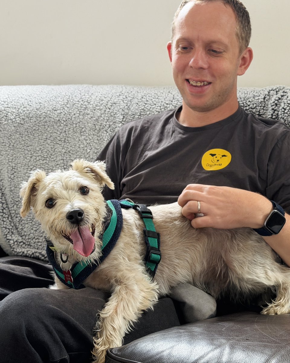 DT_Leeds's tweet photo. Who's ready for Sunday snuggles with Teddy 🙋‍♀️💜
Teddy is a gorgeous Terrier crossbred who's hoping to find his forever home! 🏡If you're looking for a snuggly sofa buddy who loves to play then make sure to add Teddy to your favourites!
Meet Teddy 👉 https://t.co/Fu9dds8YrW https://t.co/QtYPNL1qaX