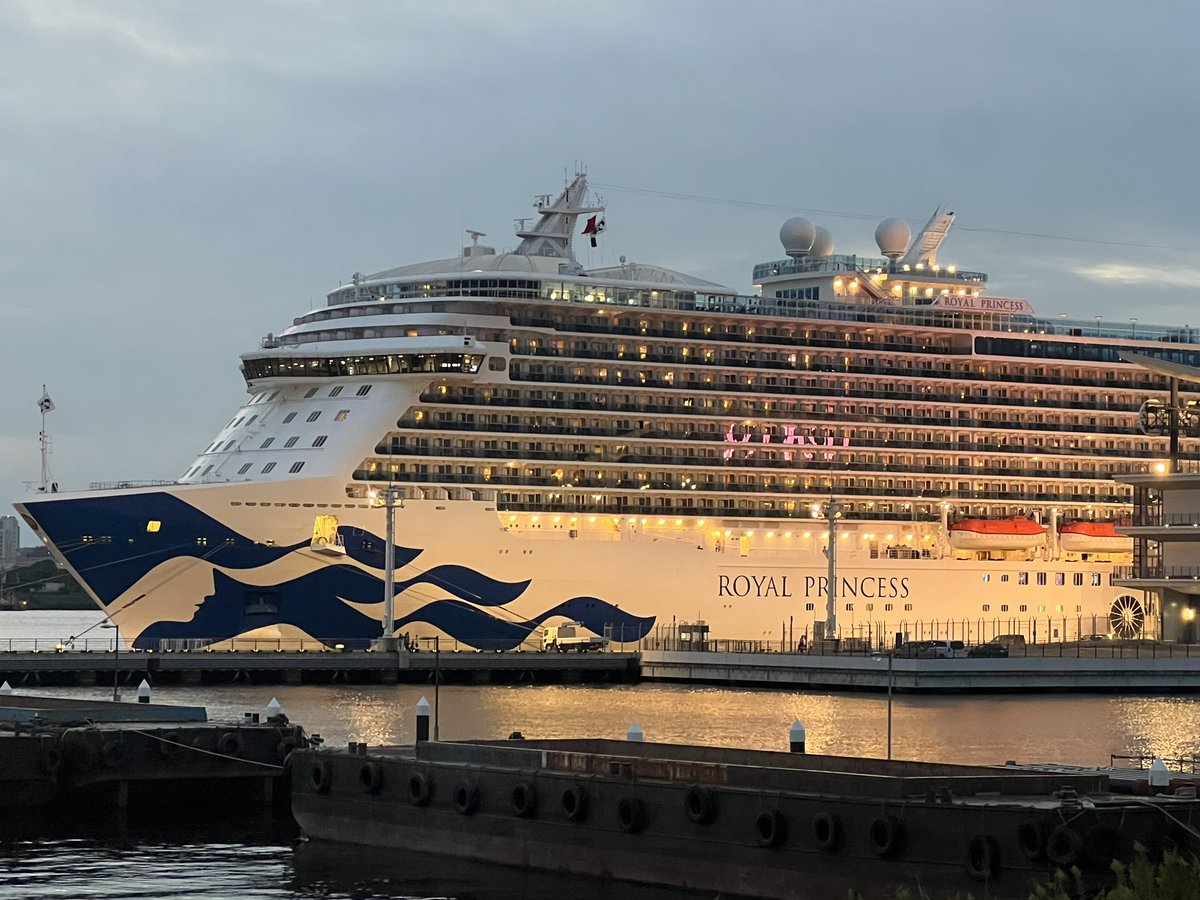 tetsuG1016's tweet photo. #Royal_Princess
#ロイヤルプリンセス
#CRUISE
#クルーズ
#青海南ふ頭公園 https://t.co/aR6ZYHYfhU