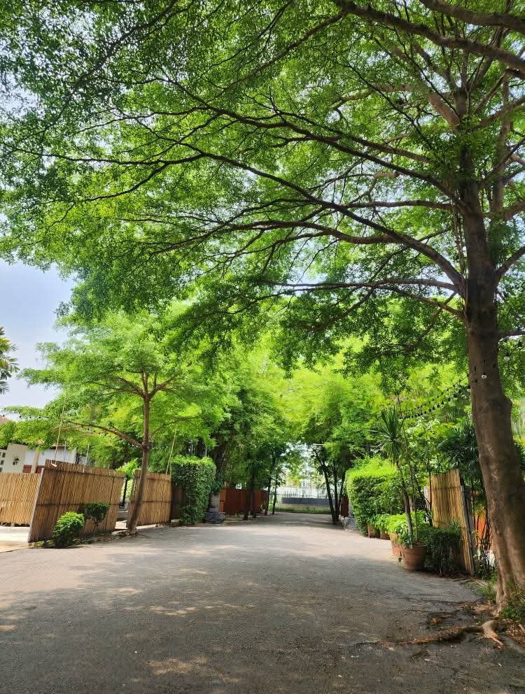 JAOMHU_TUAKLOM's tweet photo. เอาไงดีนะ🤭🤭 https://t.co/JPovdrsr4s