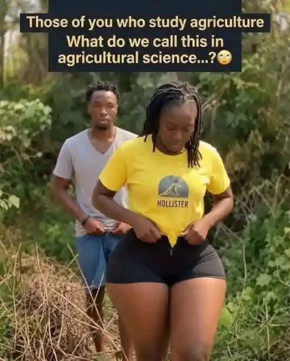 ODMIghty's tweet photo. No farm today go to church. https://t.co/5tqobCKLat