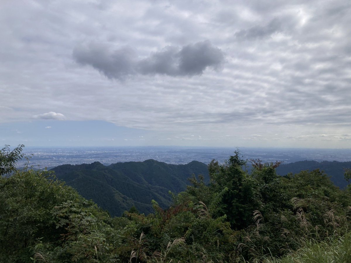 yumisae03's tweet photo. 景信山から高尾山までハイキングしてきました。
疲れは台湾アスパラガスジュースで癒します😋 https://t.co/UVljwVFsx6