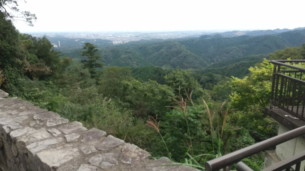 yumisae03's tweet photo. 景信山から高尾山までハイキングしてきました。
疲れは台湾アスパラガスジュースで癒します😋 https://t.co/UVljwVFsx6