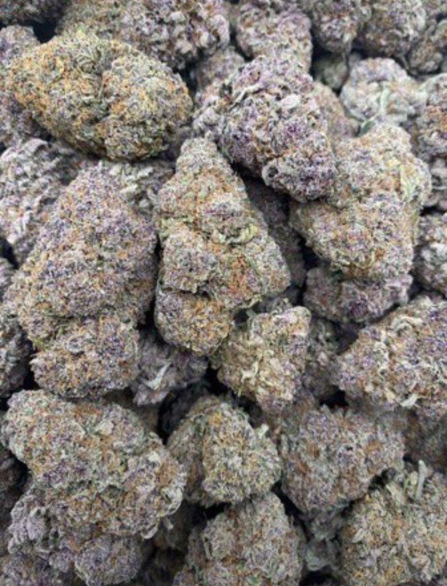 D420plug tweet picture