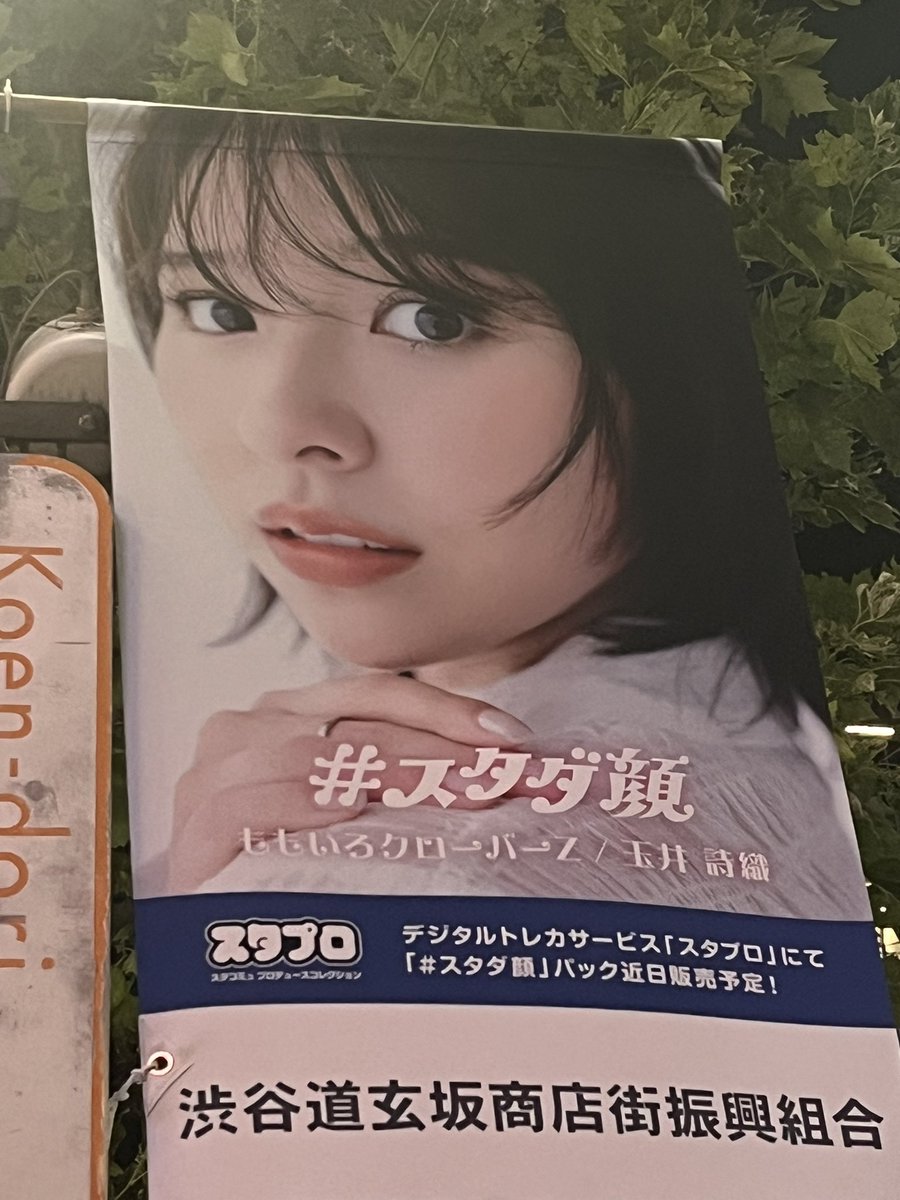 tkrmcz's tweet photo. たまいしおりがいちばんかわいい
 #スタダ顔
 #スタダ顔プロジェクト
 #玉井詩織 https://t.co/BNex5AWFXw