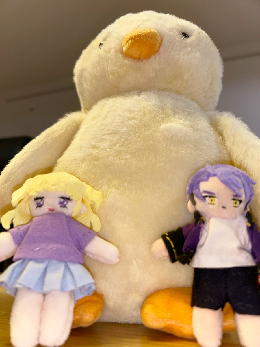Snui_jy9's tweet photo. #本日のもゆぬい 
実家に増えてた𝑩𝑰𝑮な新人 https://t.co/M9ItKG7Dq1