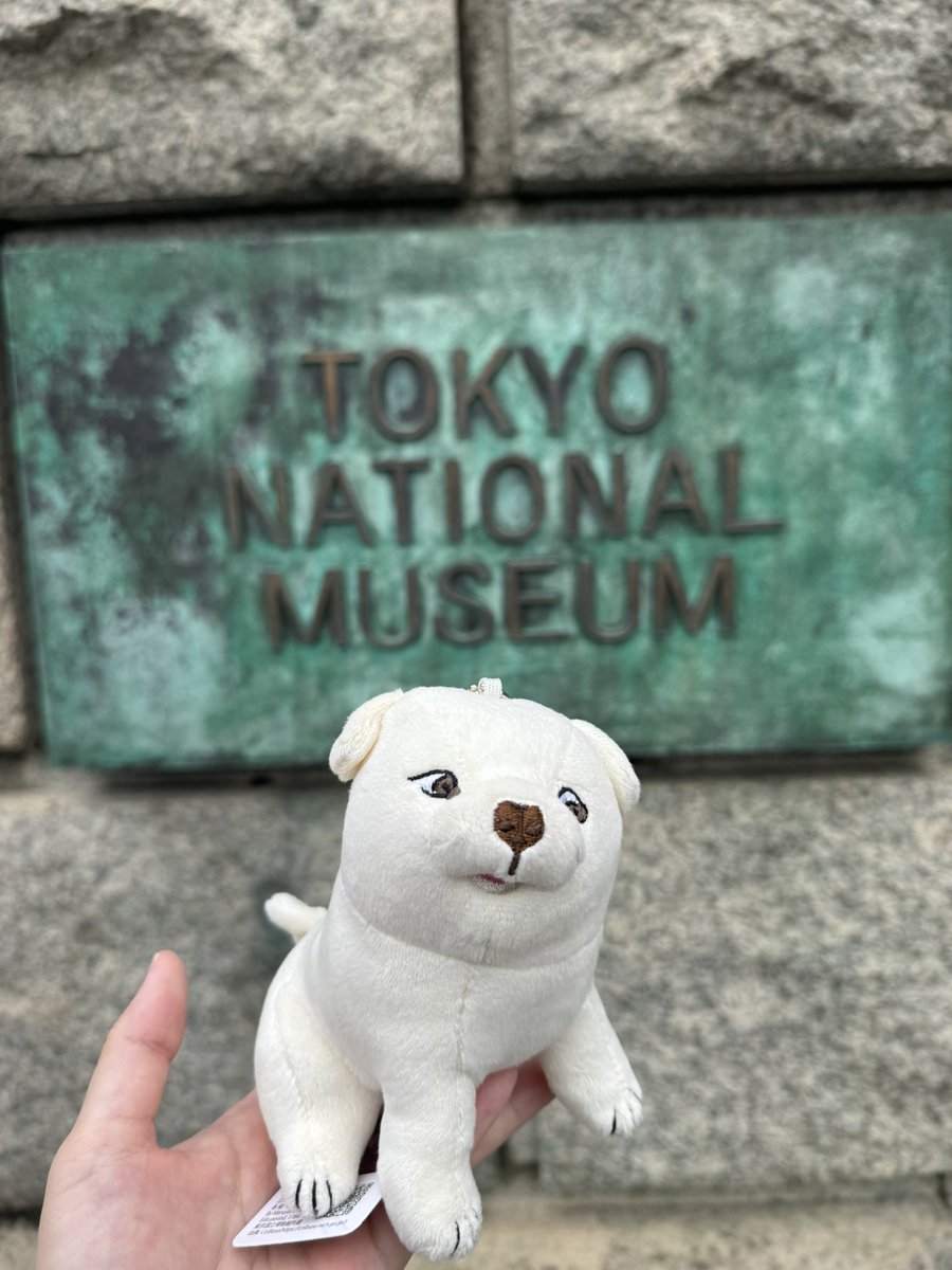 HNM424's tweet photo. 今日からうちの仔だよ
朝顔狗子図 https://t.co/grC2tkLyne