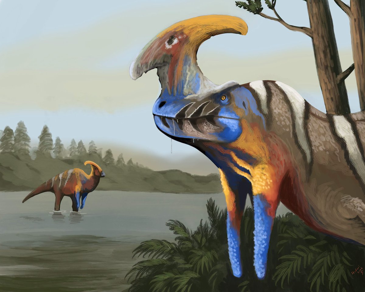 HodariNundu's tweet photo. So I looked at Tromerosaurus’ skeleton and I was like eh, looks like every other tyrannosaur… so I was like lets make it distinctive with some speculative soft tissue and it ended up being a living duckbill lure #aggressivemimicry :B https://t.co/CjmD0t7eh0