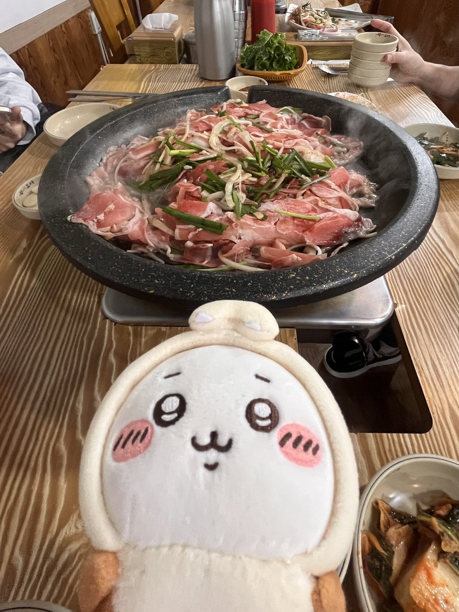 chiikkawa_'s tweet photo. 수달고기 아니고 오리고기입니다:) https://t.co/er9KRxe98c