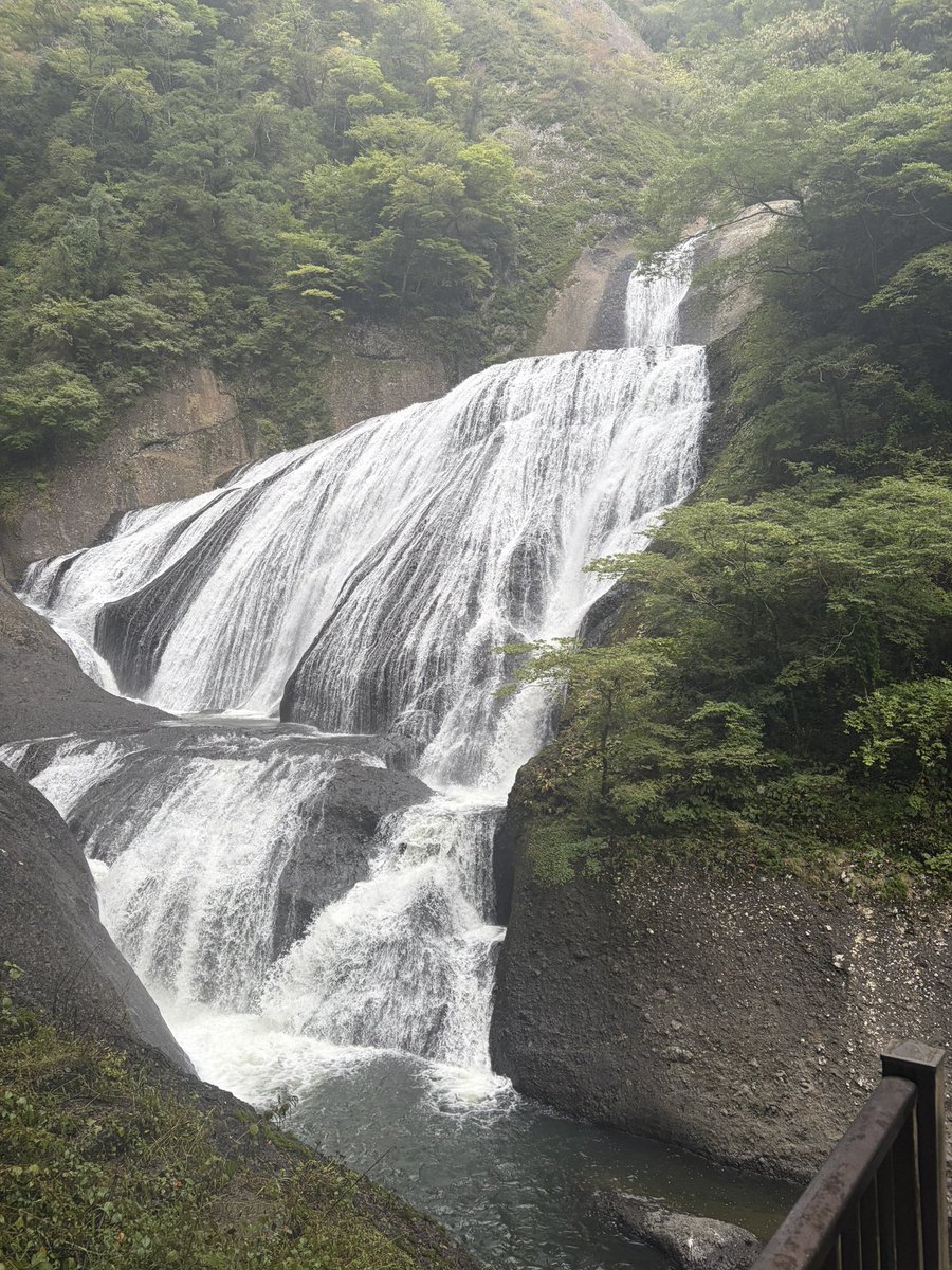 9idC7's tweet photo. どうしてもデートしたいと駄々をこねましたところ、隣の県までドライブして、映画見て、滝見て、帰ってきてラーメン屋に行くという1日を過ごせました！！
楽しかったです！ https://t.co/5xRjorfngA