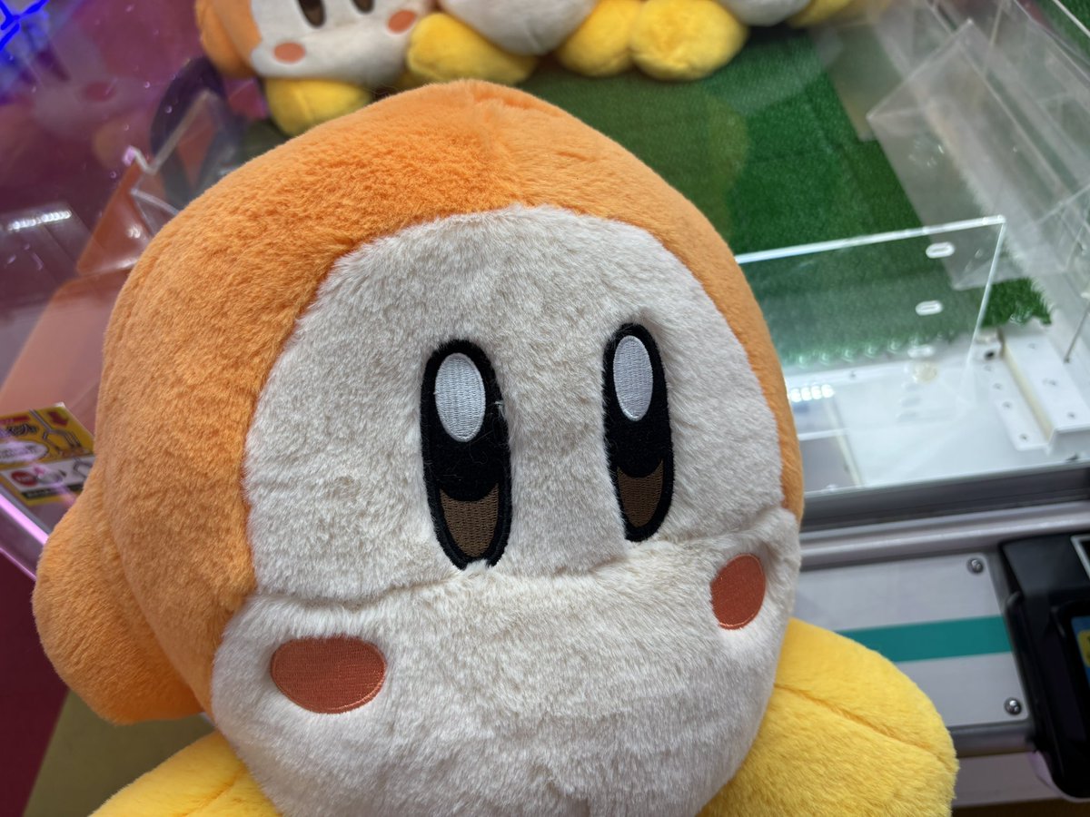 NOkinap's tweet photo. https://t.co/6TKU2k0CgO
