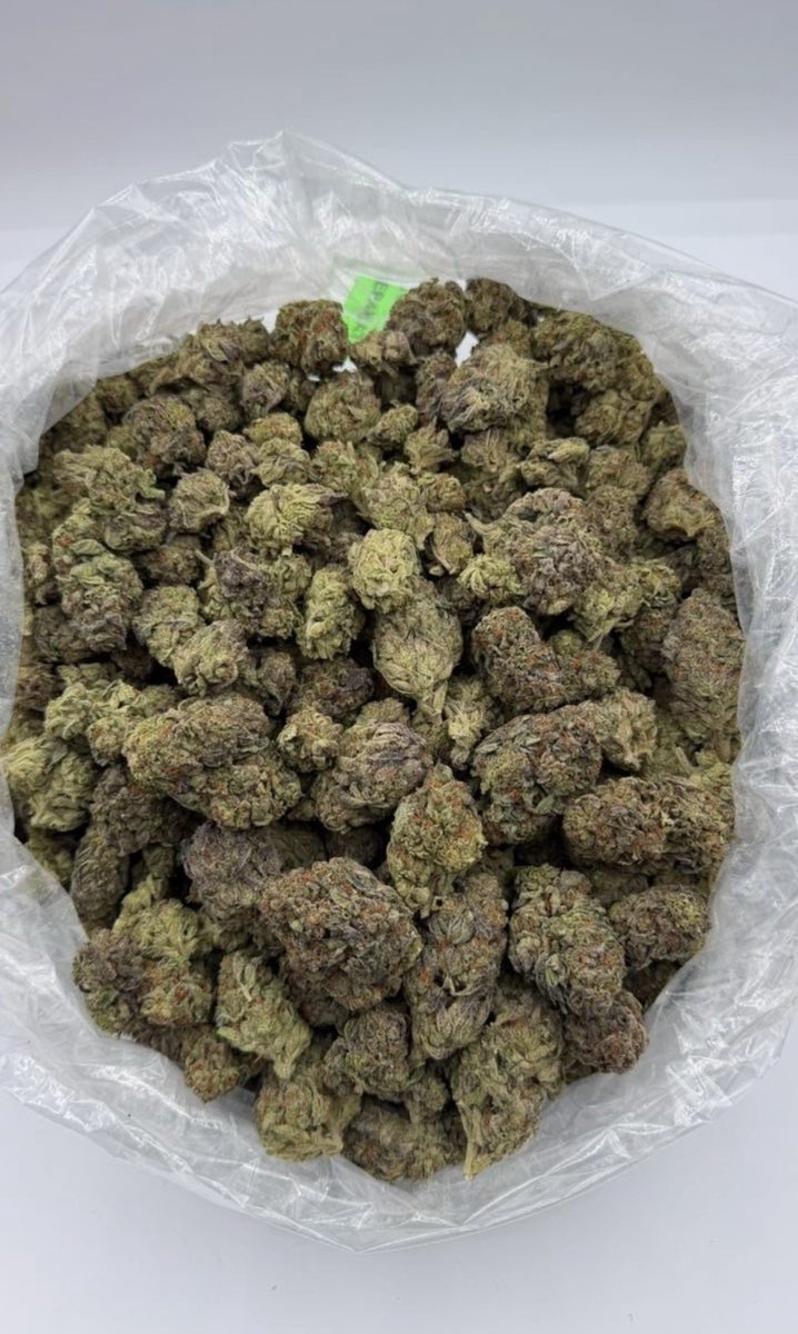 D420plug tweet picture